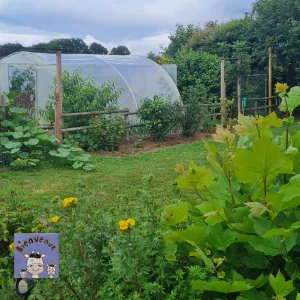 jardin potager