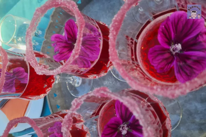 Boisson aux fleurs du jardin !